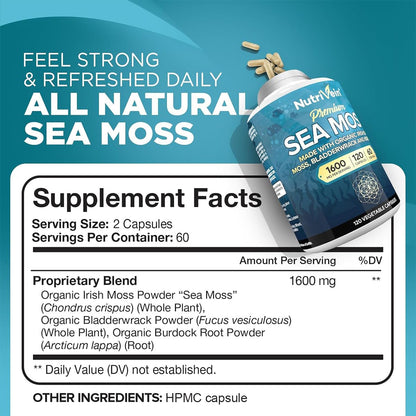 Nutrivein Organic Sea Moss 1600mg Plus Bladderwrack & Burdock - 120 Caps for Adults - Prebiotic Super-Food - Immune System & Digestive Health