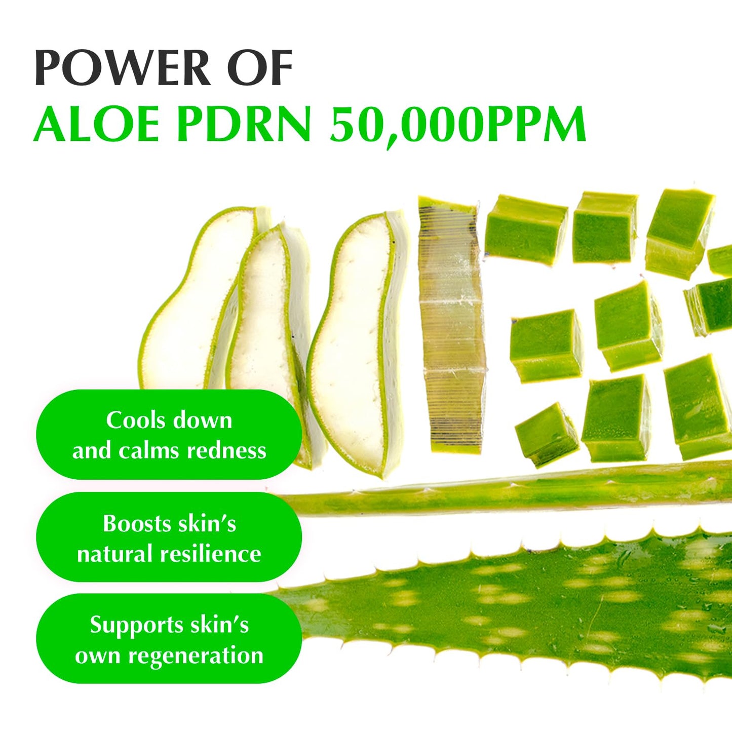 EQQUALBERRY Aloe PDRN Calming Smoothie Serum – Soothing Korean Skin Care for Sensitive Skin, Cica & Aloe for Repair, Hydrating & Radiant Glow
