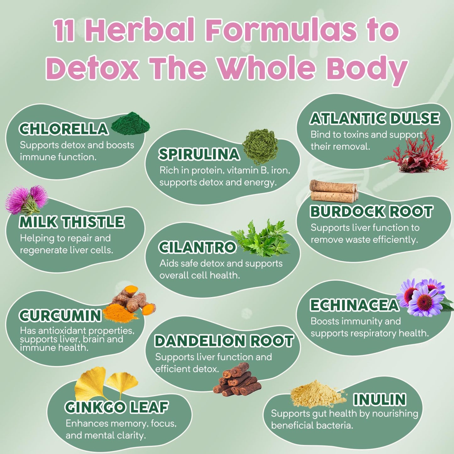 Zeolite Detox for Kids and Adults, Herbal Detox with 800mg DHA, 500mg Inulin, Probiotics & Vitamin B12, D3, C, B6, Cilantro Extract Cleanse to Support Brain,