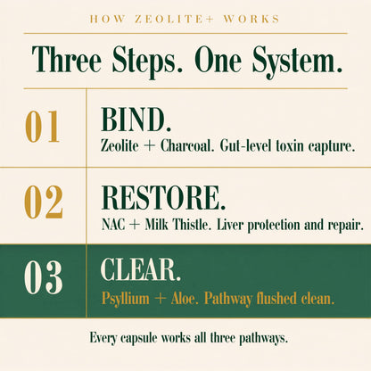 Zeolite Binder Detox – 8-in-1 Clinoptilolite Microplastics & Full Body Detox Cleanse with Activated Charcoal, NAC & Milk Thistle – Liver Cleanse & Repair