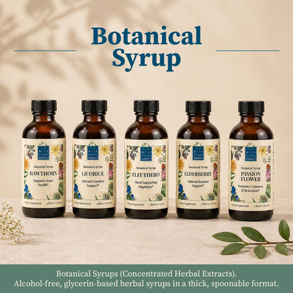 Wise Woman Herbals Hawthorn Botanical Syrup, Alcohol-Free Hawthorn Berry Solid Extract 4:1, Promotes Healthy Circulation, Antioxidant Protection, Herbal Cardiovascular Support, 4 Fl Oz