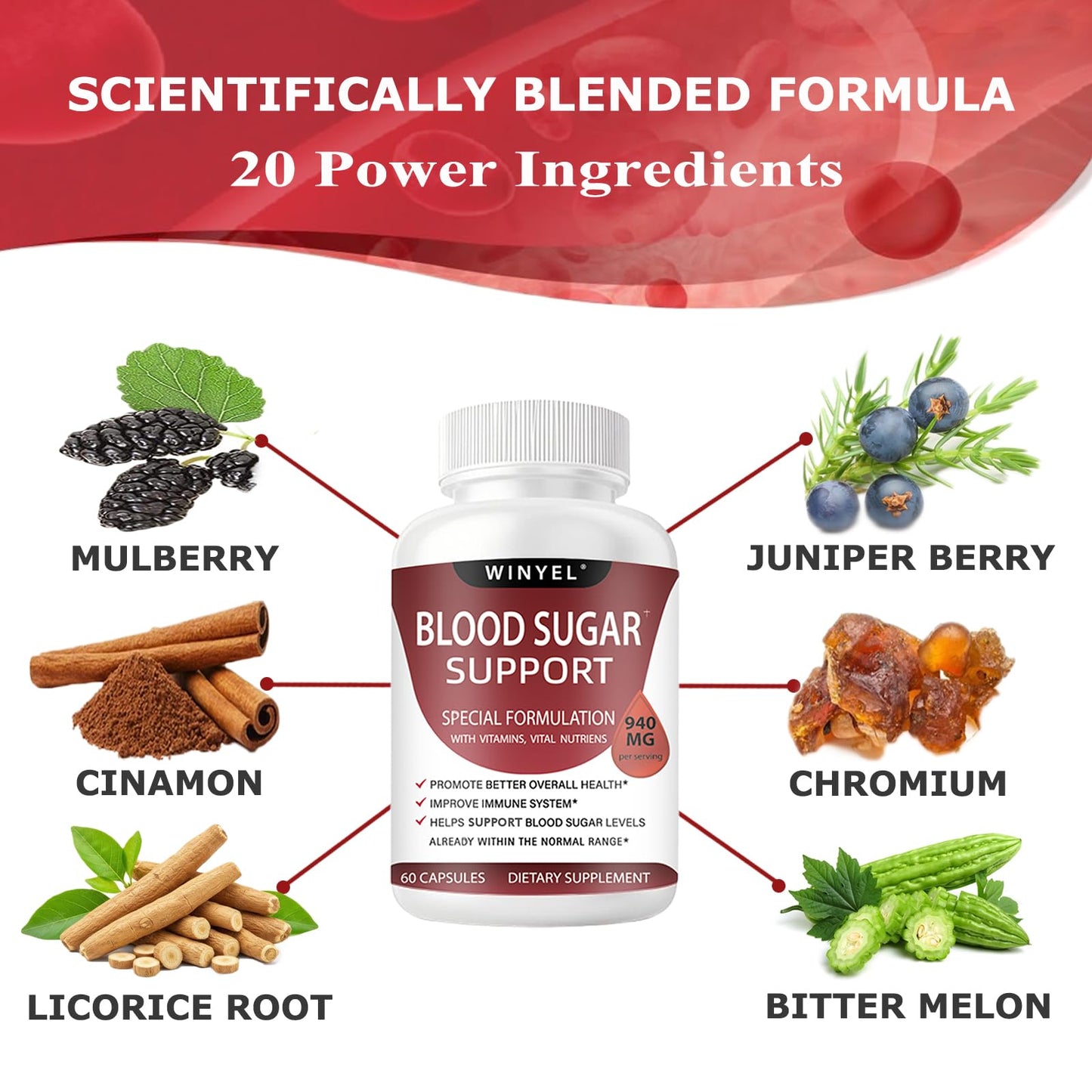 WINYEL Blood Sugar Complex Supplement - with Cinnamon, Bitter Melon, Chromium, Mulberry, Alpha Lipoic Acid, 60 Capsules