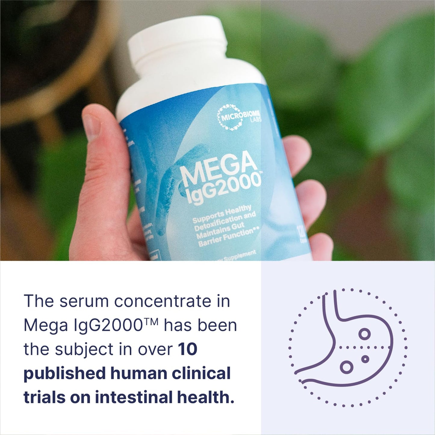 Microbiome Labs Mega IgG2000 Gut Health Powder for Women, Men & Kids 2+ - IgG Immunoglobulin Supplement for Digestive Health Support - Dairy-Free Bovine Colostrum