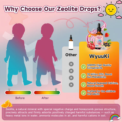Zeolite Drops 2 Pack Detox for Kids & Adults - 300mg Clinoptilolite, 1000mcg Vitamin B12 C D3, 10 Billion CFU Prebiotics, Seaweed Calcium - Pure Body Cleanse