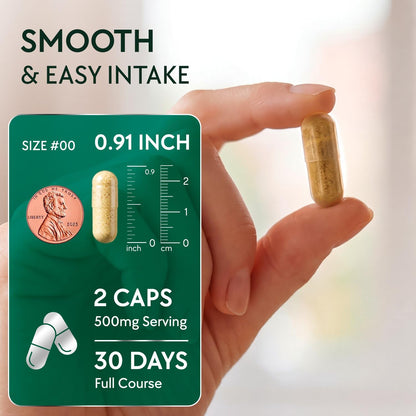 NMN Supplement 500mg - NAD Supplement with Resveratrol, TMG, Apigenin, PQQ, and Black Pepper Extract - 6-in-1 Acid-Resistant Vegan Pills Complex
