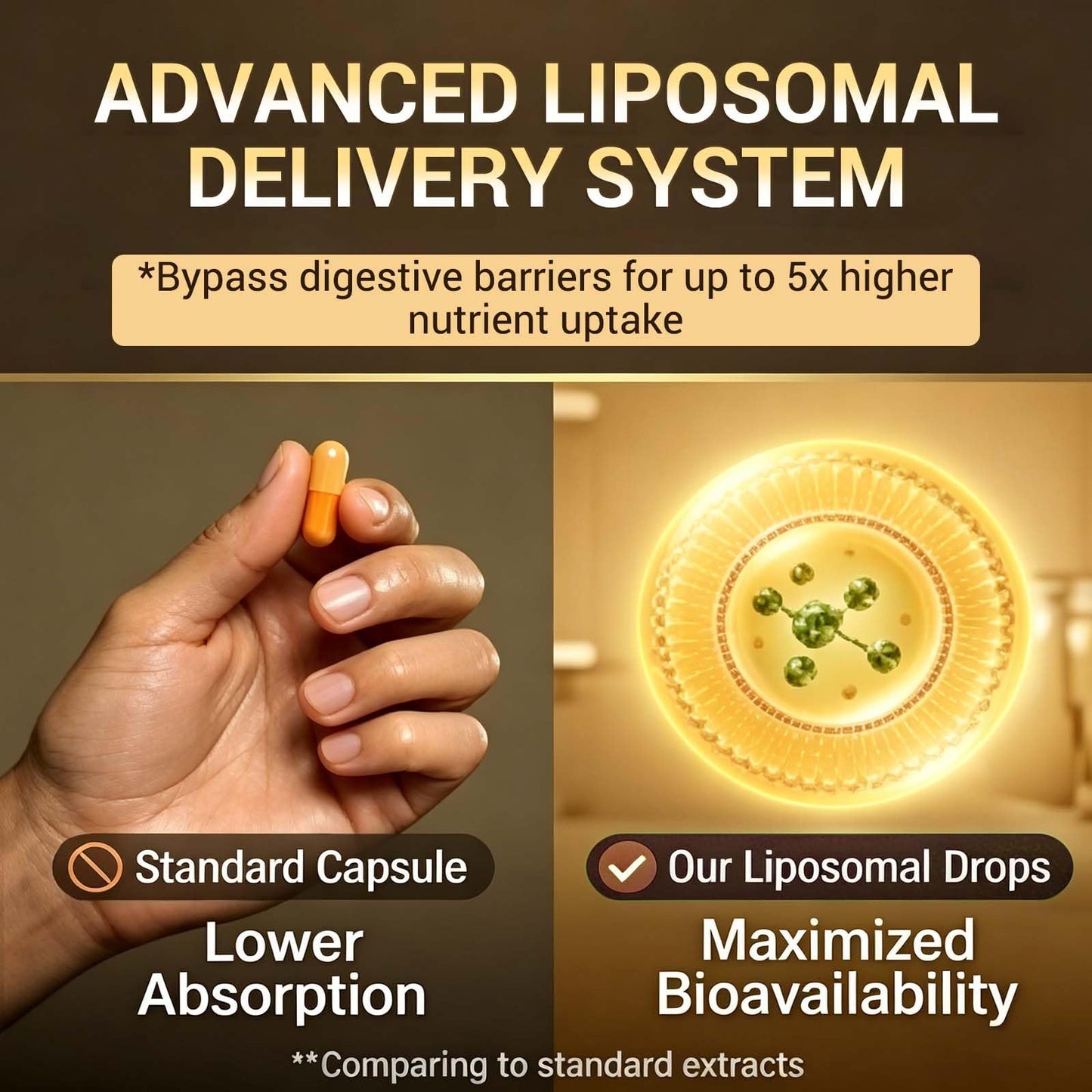 Wormwood Black Walnut Clove Garlic Liquid Drops, Liposomal Fast Absorption with Pumpkin Seed, Pau D'Arco, Berberine, Black Pepper, for Gut Digestive Health