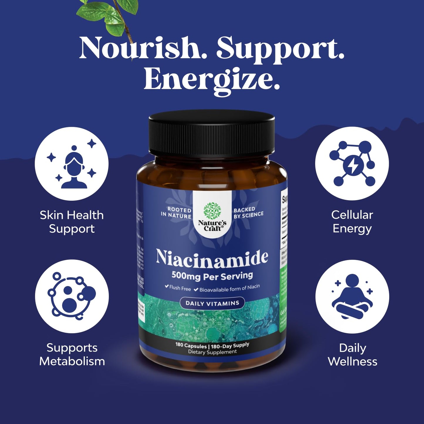 Pure Vitamin B3 Niacinamide 500mg Capsules - Niacinamide (Vit B3) 500mg Flush Free Form of B3 Vitamins for Skin Health Detox & NAD Production Support for Women & Men
