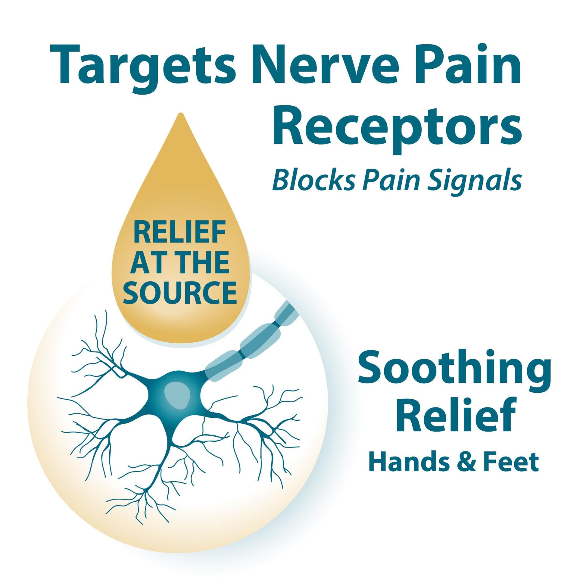 FRANKINCENSE & MYRRH Foot Pain Relief Cream - Intensive Foot Therapy Lotion - Diabetic Nerve Pain Relief Cream | Restless Leg Syndrome | Frankincense Essential Oil, 3 Ounce (2-Pack) FRANKINCENSE & MYRRHBuy Supplements Australia