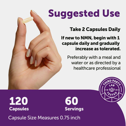 Micro Ingredients NMN Complex 1000mg Per Serving, 120 Veggie Capsules | 10-in-1 with Nicotinamide Mononucleotide, Resveratrol, CoQ10, Quercetin & Glutathione