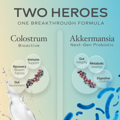 Prime Powders Colostrum Capsules | Grass-Fed Bovine Colostrum with Akkermansia Probiotic 1B AFU | Microbiome & Gut Support