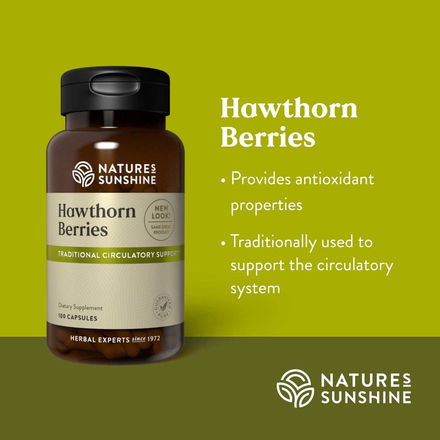 Nature's Sunshine Hawthorn Berries, 100 Capsules | Helps Enhance Heart Muscle Function and Provides Circulatory System Support