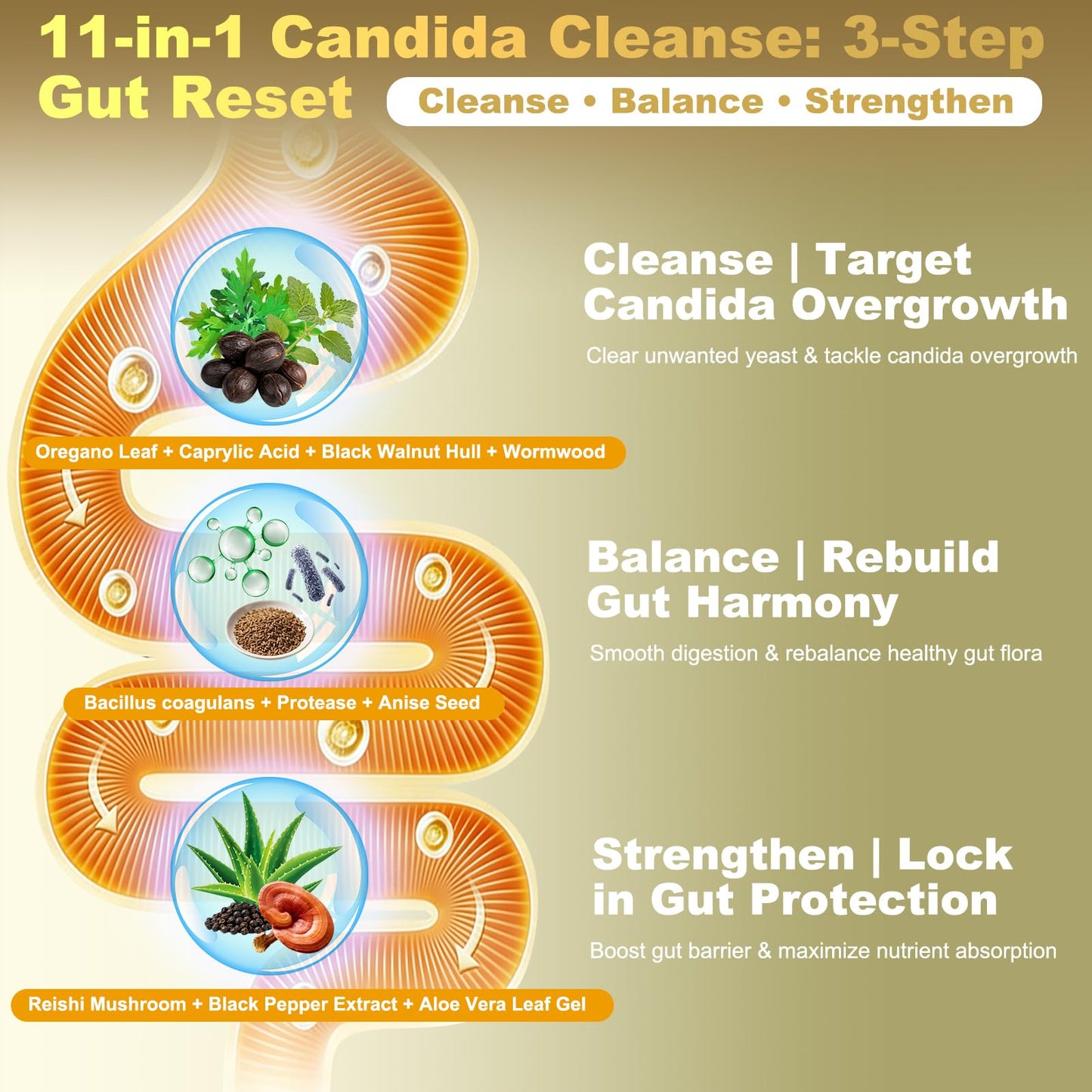 Montorchid Candida Cleanse & Parasite Cleanse Detox | Black Pepper-Boosted Triple-Targeting Formula with Caprylic Acid, Oregano, Black Walnut