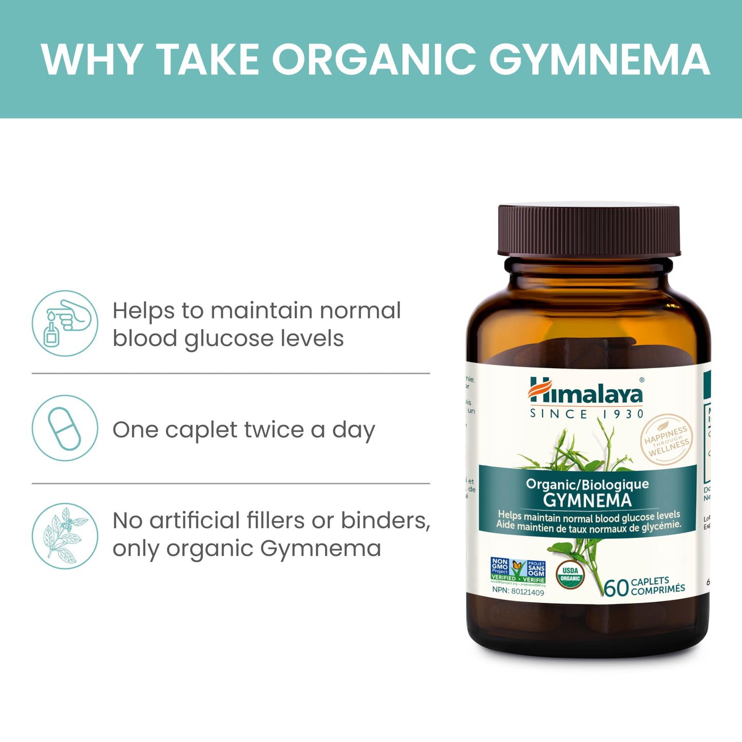 Himalaya USDA Organic Gymnema Sylvestre Extract 700mg,Gymnema Sylvestre Supplements,Herbal Glucose Metabolism Support,Gymnema Sylvestre Capsules,Non-GMO, Vegan