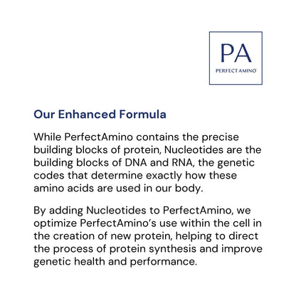 BodyHealth PerfectAmino Powder - BCAA and EAA Powder for Pre and Post Workout - Amino Acid Energy Drink for Men and Women to Support Lean