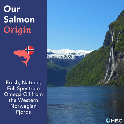High Strength Omega 3 Fish Oil - 1000mg, Norwegian Salmon Oil with EPA & DHA, No Burping or Aftertaste, Omega 3 Fatty Acids Supplement for Eye