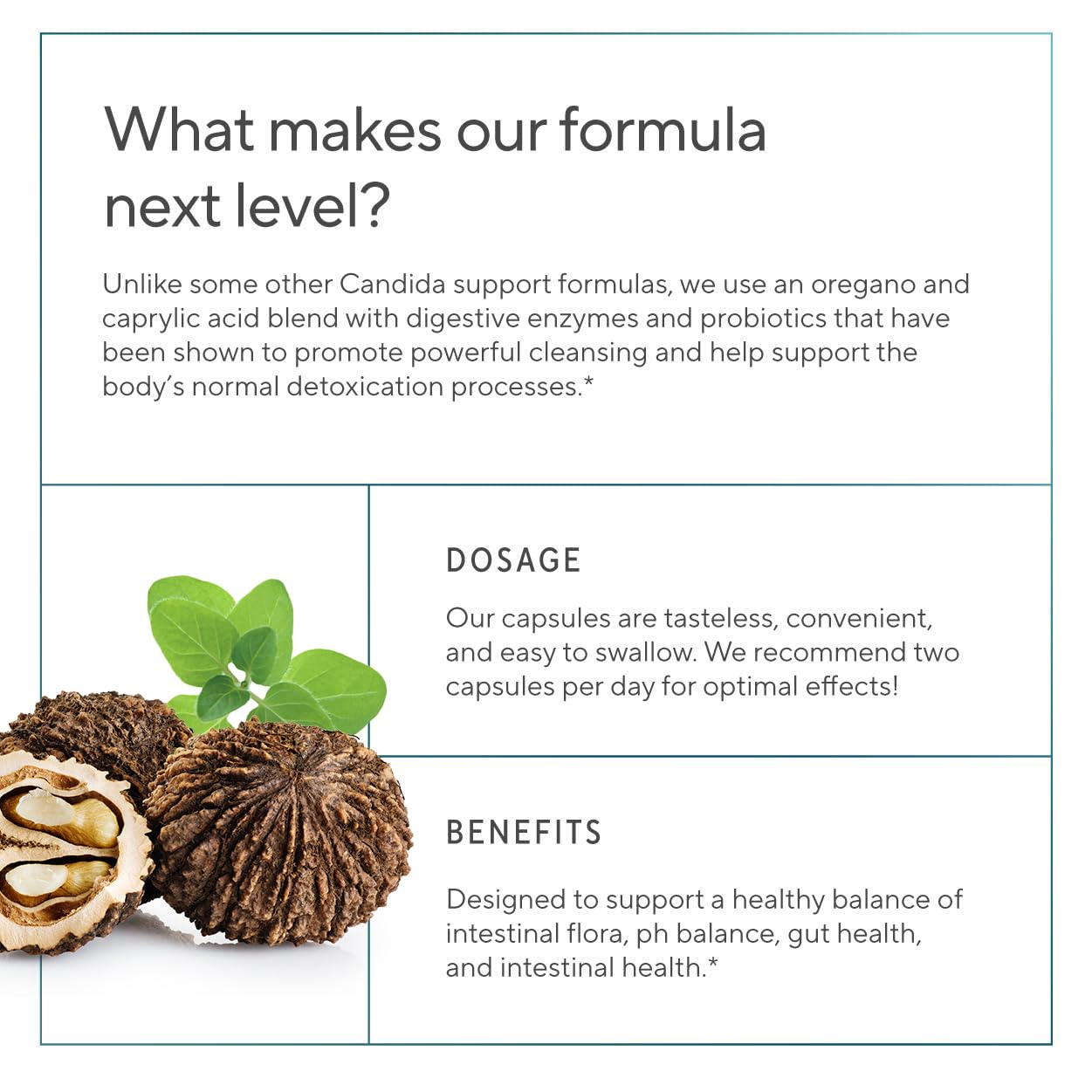 Premium Candida Cleanse Supplement – Candida Support Supplement with Oregano, Caprylic Acid, Black Walnut & Probiotics – Supports Gut Health,