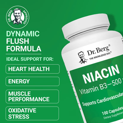 Dr. Berg Highly-Potent Niacin 500 mg – Now Only 125 mg per Capsule for Niacin Flush Tolerance Building – Gradually Increase to 500mg a Day – Vitamin B3 for Heart