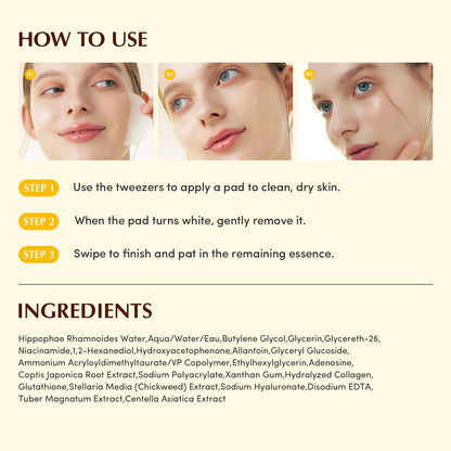 EQQUALBERRY Collagen Glow Up Gel Toner Pads – Brightening Korean Jelly Pad with Deep Absorption Collagen, Hydrating & Glow-Boosting Formula,