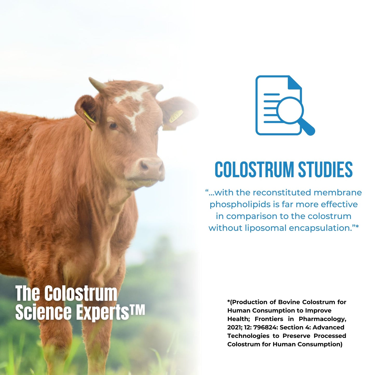 Sovereign Laboratories Colostrum-LD Powder | Unflavored | Liposomal Delivery, Max Absorption | 6 oz/ 34 Servings