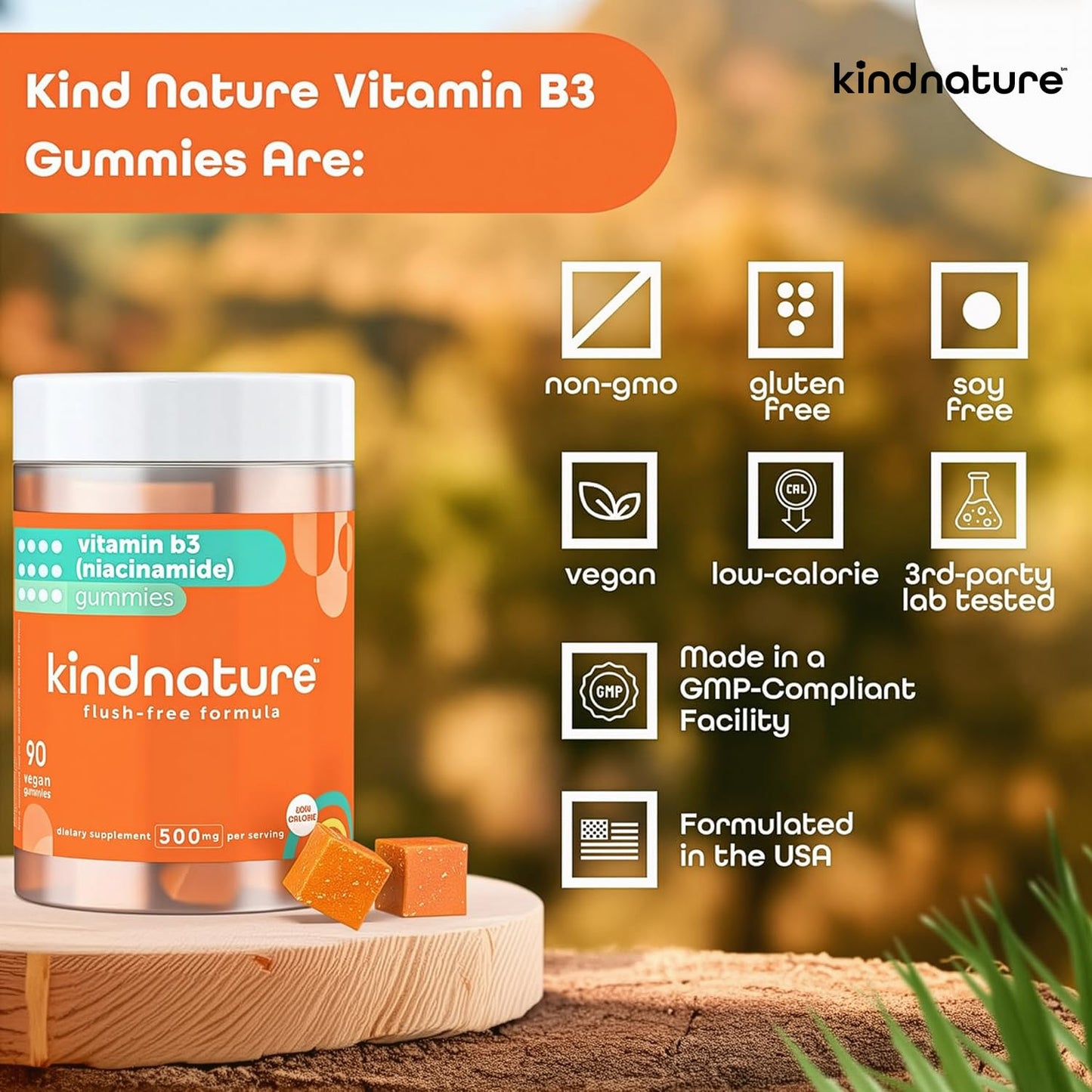 kindnature Vitamin B3 Niacinamide Gummies 500mg – Flush-Free Niacin Supplement – Supports Skin, Energy & Nervous System Wellness – Vegan, Non-GMO