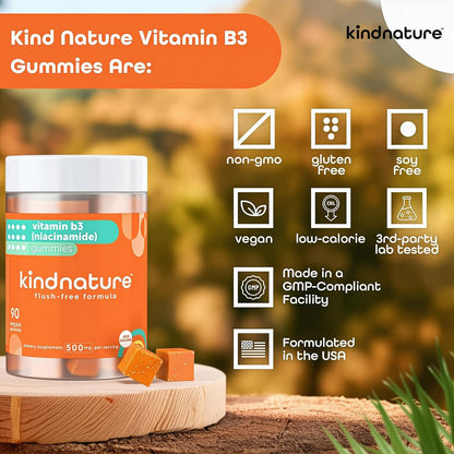 kindnature Vitamin B3 Niacinamide Gummies 500mg – Flush-Free Niacin Supplement – Supports Skin, Energy & Nervous System Wellness – Vegan, Non-GMO