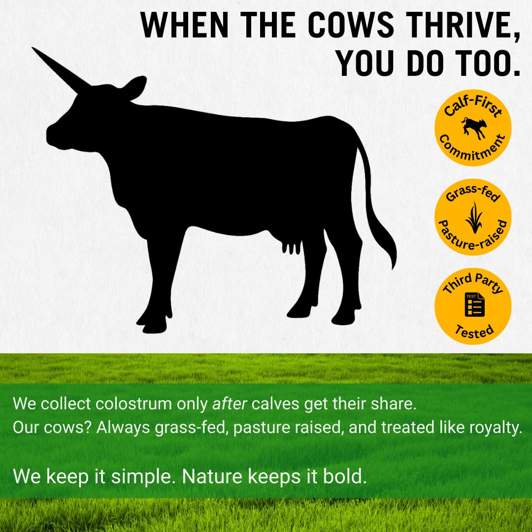 Bold Belly Colostrum Powder Supplement - Whole Cream Bovine Colostrum for Gut & Immune Support, Grass-Fed USA Cows, Cold-Processed