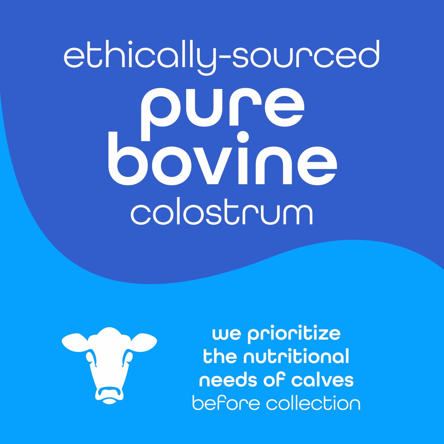 Zena Nutrition Bovine Colostrum Powder Supplement, 2000mg Pure Colostrum, Supports Immune and Digestive Health, Promotes Gut Health, Keto, Gluten Free