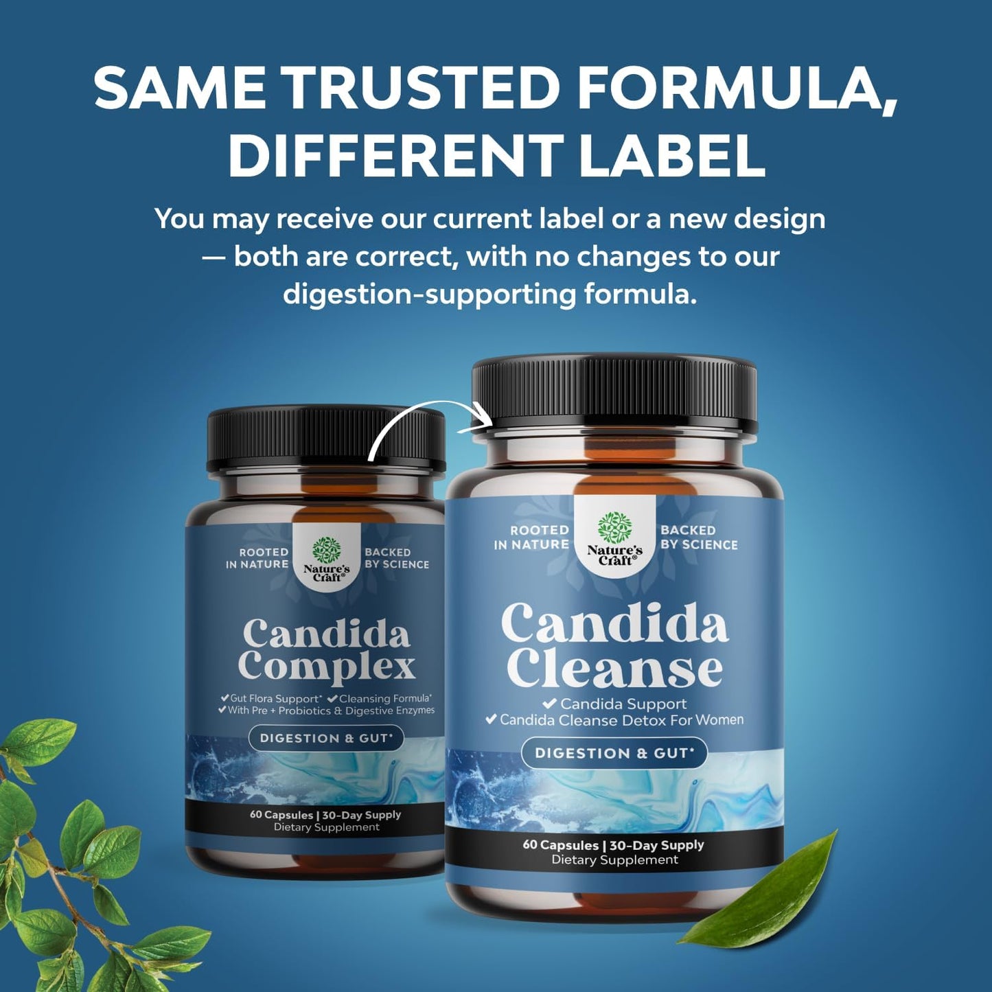 Candida Cleanse Detox for Women - Anti Overgrowth Gut Detox for Women with Caprylic Acid Black Walnut Wormwood and Oregano - Full Body Cleanse