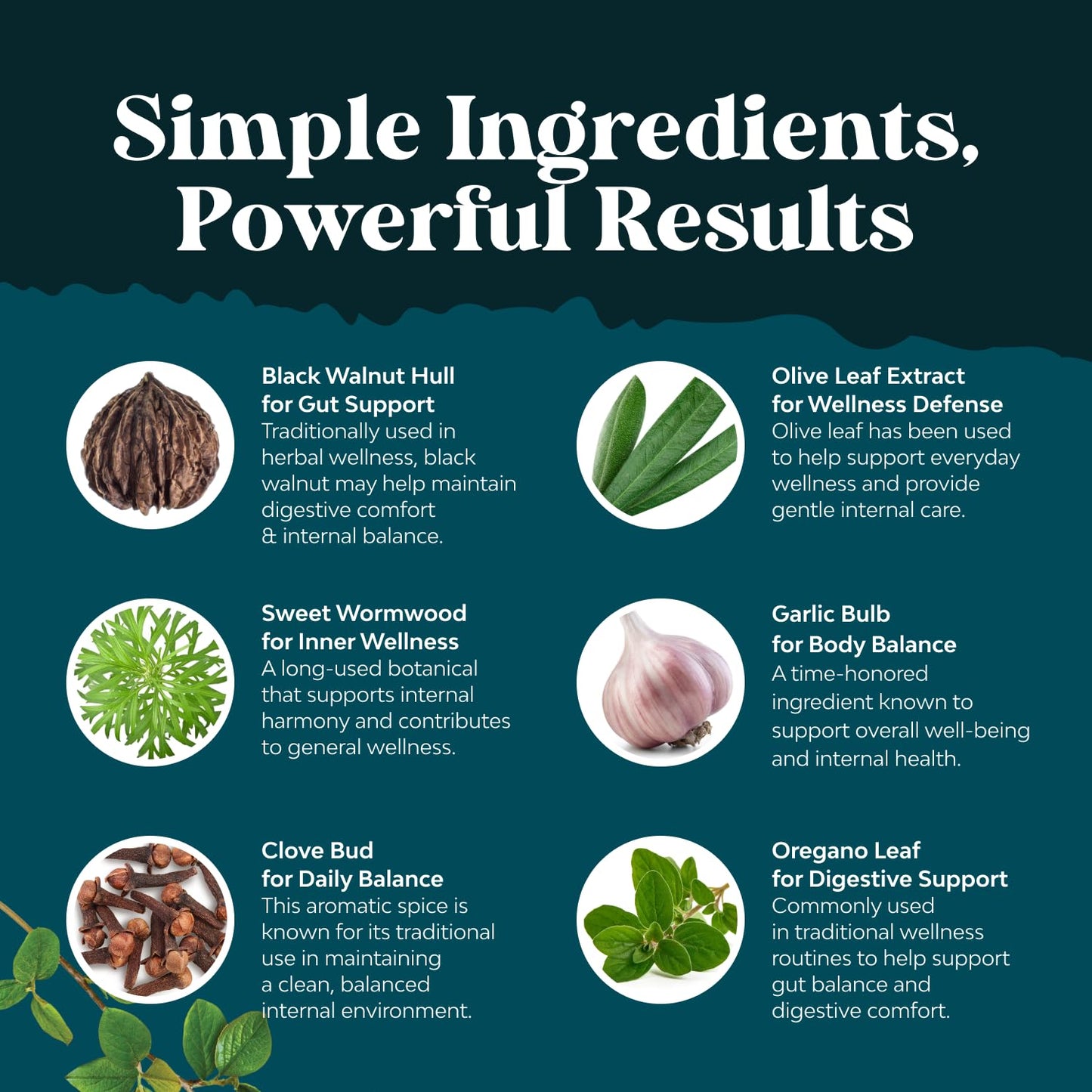 PARA-X Herbal Gut Health Supplement - Immune Support with Black Walnut Wormwood & Cloves - Supports Digestive Health & Gut Health for Women & Men