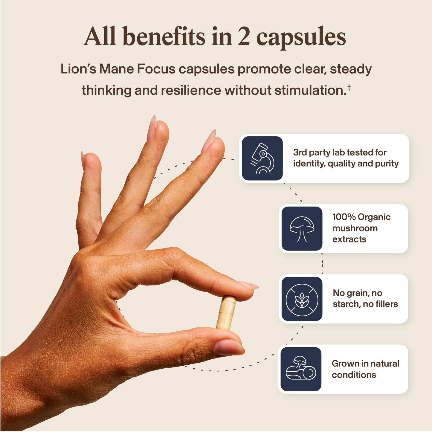 Real Mushrooms Lion’s Mane Focus Capsules (90 Count) – Organic Lions Mane Fruiting Body Extracts with 200mg Alpha GPC Choline