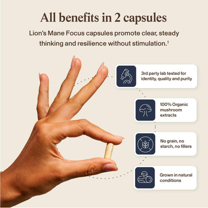Real Mushrooms Lion’s Mane Focus Capsules (90 Count) – Organic Lions Mane Fruiting Body Extracts with 200mg Alpha GPC Choline