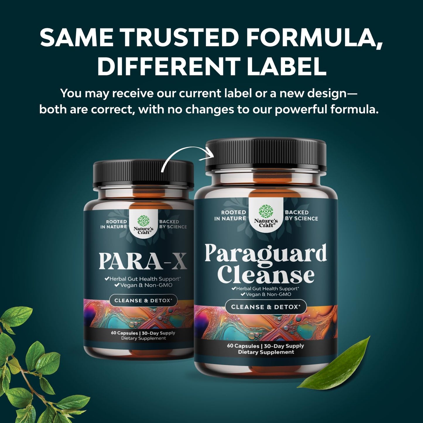 PARA-X Herbal Gut Health Supplement - Immune Support with Black Walnut Wormwood & Cloves - Supports Digestive Health & Gut Health for Women & Men