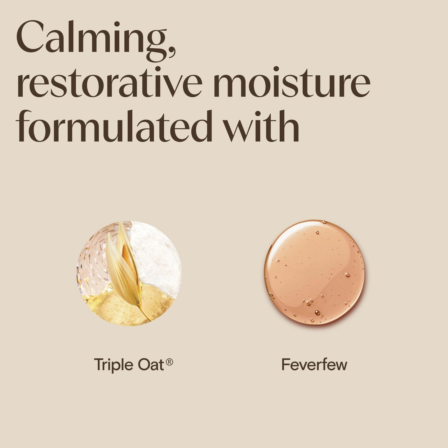 Aveeno Calm + Restore Triple Oat Hydrating Face Serum for Sensitive Skin, Gentle Lightweight Hydrating Serum for Face Instantly Smooths Skin,