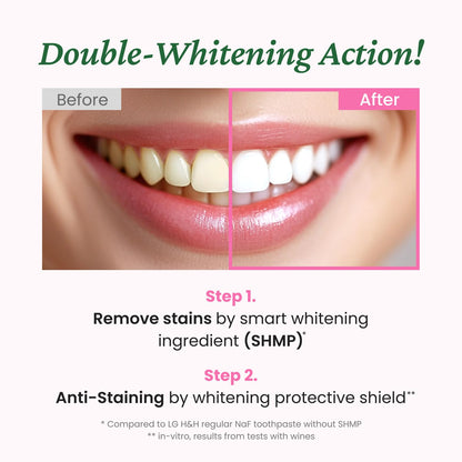 EUTHYMOL Whitening Toothpaste (3.7fl oz) - Stain Removal in 2 Weeks, Long-Lasting Freshness for Sensitive Gum & Teeth. Bad Breath