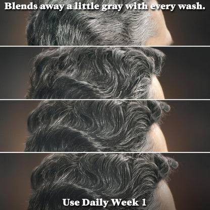 Just for Men Control GX Grey Reducing Shampoo, Gradual Hair Color with Keratin for Stronger Thicker and Healthier Looking Hair, 4 Fl Oz - Pack of 1