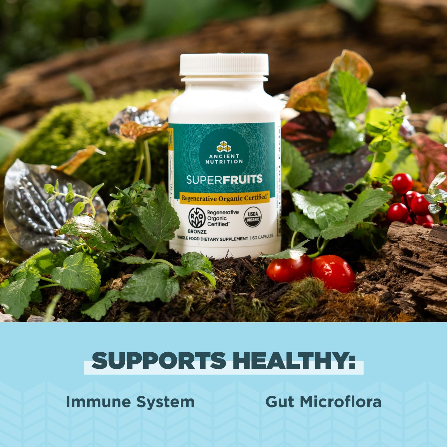 Ancient Nutrition Regenerative Organic Certified SuperFruits Capsules, Supports Gut and Immune System Health, Made with Probiotics, Dragonfruit, Mulberry, and Goji, 60 Count Ancient NutritionBuy Supplements Australia