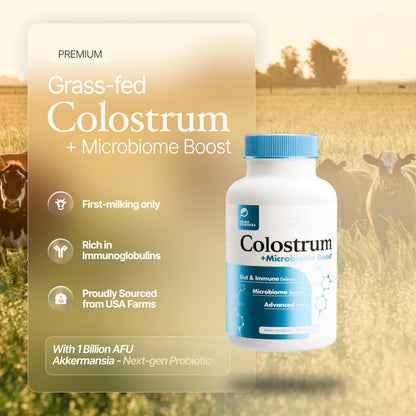 Prime Powders Colostrum Capsules | Grass-Fed Bovine Colostrum with Akkermansia Probiotic 1B AFU | Microbiome & Gut Support