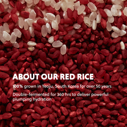 HANYUL Red Rice Hydrating Serum with Vegan Ceramide | Korean Skincare for Deep Hydration, Radiant Skin Glow, Firming & Barrier