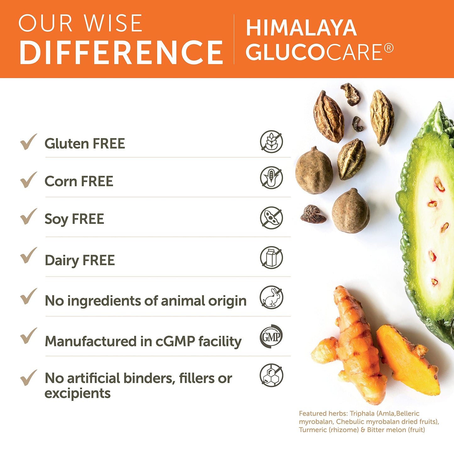 Himalaya GlucoCare – Herbal Glucose Metabolism & Pancreatic Support with Bitter Melon, Gymnema, Triphala & Turmeric – Natural Blood Sugar Support