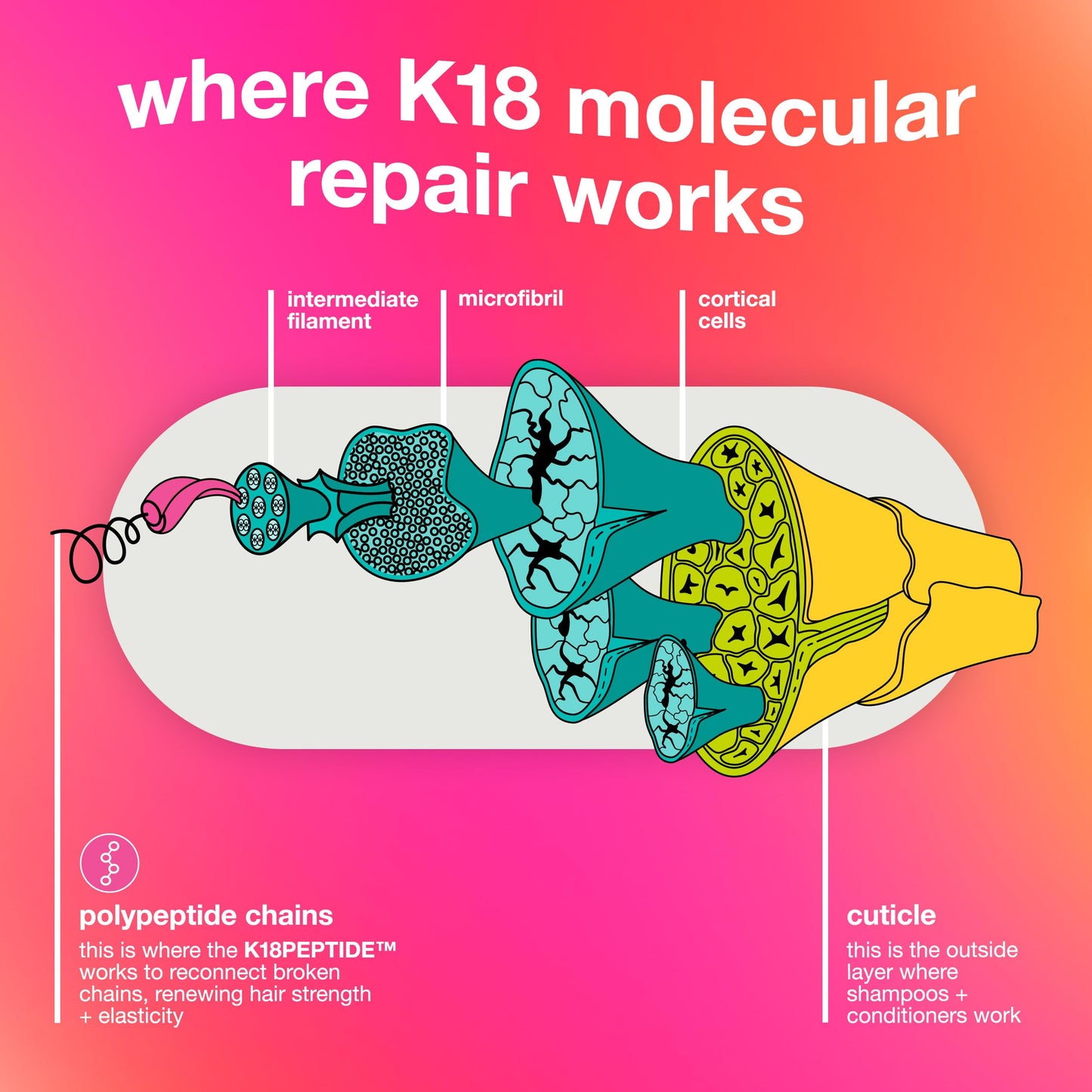 K18 Leave-In Molecular Repair Hair Mask - Peptide Hair Treatment Mask for Bleach, Color, Chemical + Heat Damaged Strands - Immediate