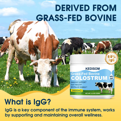 KEDISOM Grass-Fed Bovine Colostrum Supplement Powder - 60% High IgG 3000 mg for Gut Health, Immune Support - Easy to Mix Natural Liposomal