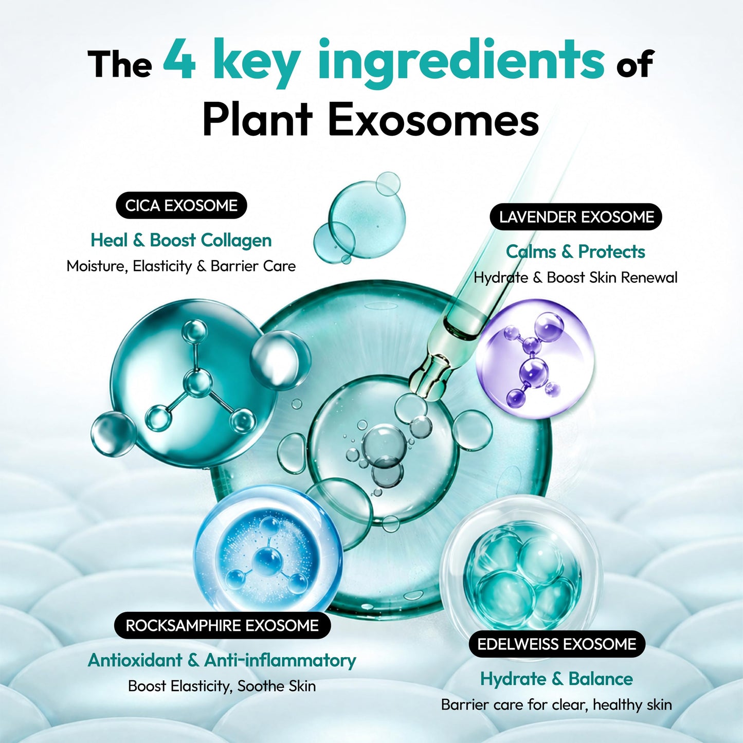 Exome Hydrating Toner, Greenery Aqua Base Starter for Glow Skin, Resveratrol Protective Barrier & 9-Peptide Complex for Elasticity & Wrinkle Care