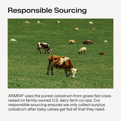 ARMRA Colostrum Powder | Arctic Chai | Gut Health & Bloating | Skin & Hair | Immunity | Keto, Gluten & Fat-Free | 30 Servings