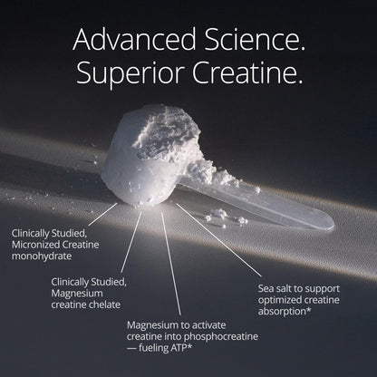 Qualia Creatine | Advanced Creatine Complex | 2 Sources + Magnesium | Optimized Absorption | Muscle Performance, Brain Function,