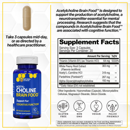 Acetylcholine Brain Food - Acetyl L-Carnitine & Alpha GPC Supplement - Supports Production of Acetylcholine - Neurotransmitter Supplement