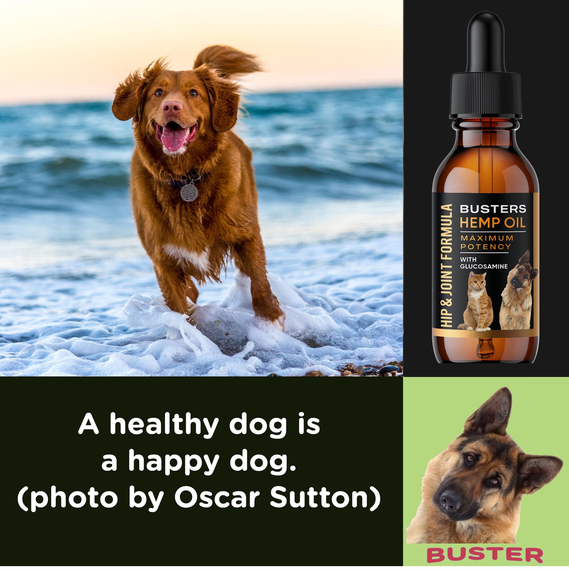 Busters Hip and Joint Hemp Oil Formula enriched with Glucosamine, Pain Relief for Dogs and Pets, Arthritis, and Advanced Mobility Support K2xLabsBuy Supplements Australia