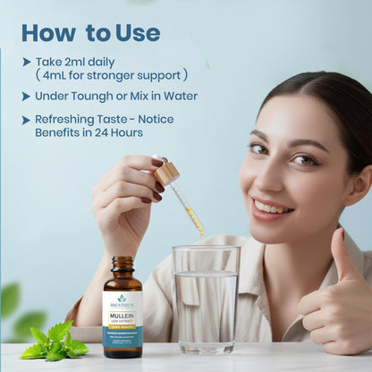 BREATHIUM 4-in-1 Mullein Drops for Lungs & Gut Health – Liposomal Mullein Leaf Extract, Made in USA, Natural Lung Detox for Smokers + Immune, Digestive