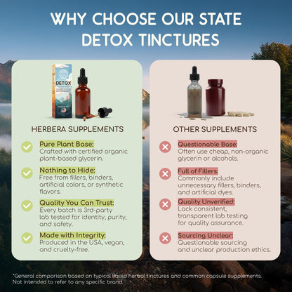 HerbEra California Herbal Detox Blend - USDA Organic Extract, Made in USA | Immune & Liver Support Liquid Drops | Burdock, Dandelion Root