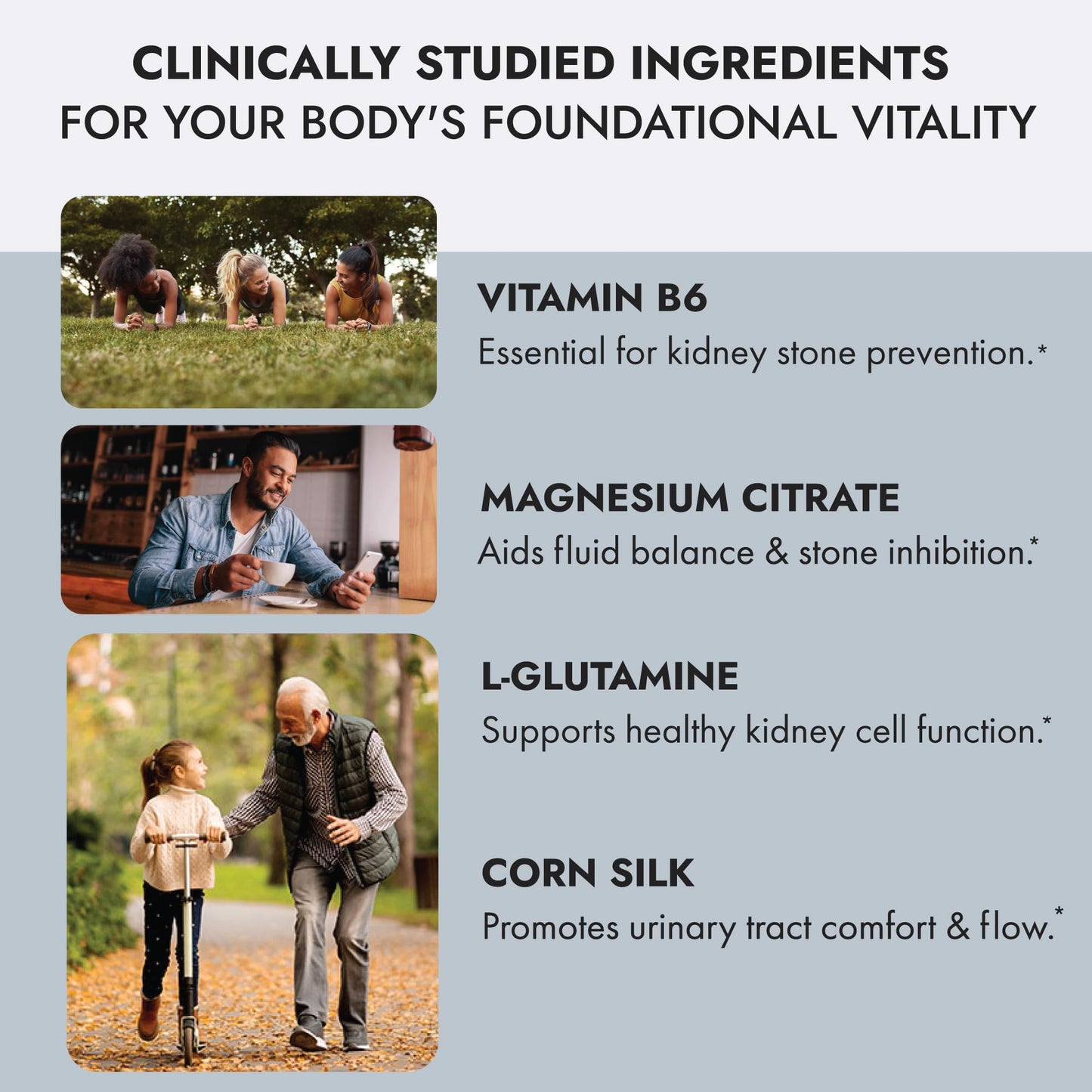 Axobotanica Kidney Cleanse Detox & Repair - Vitamin B6, Magnesium, L-Glutamine & Cornsilk - Kidney Support Supplement, Urinary Flow & Bladder Comfort