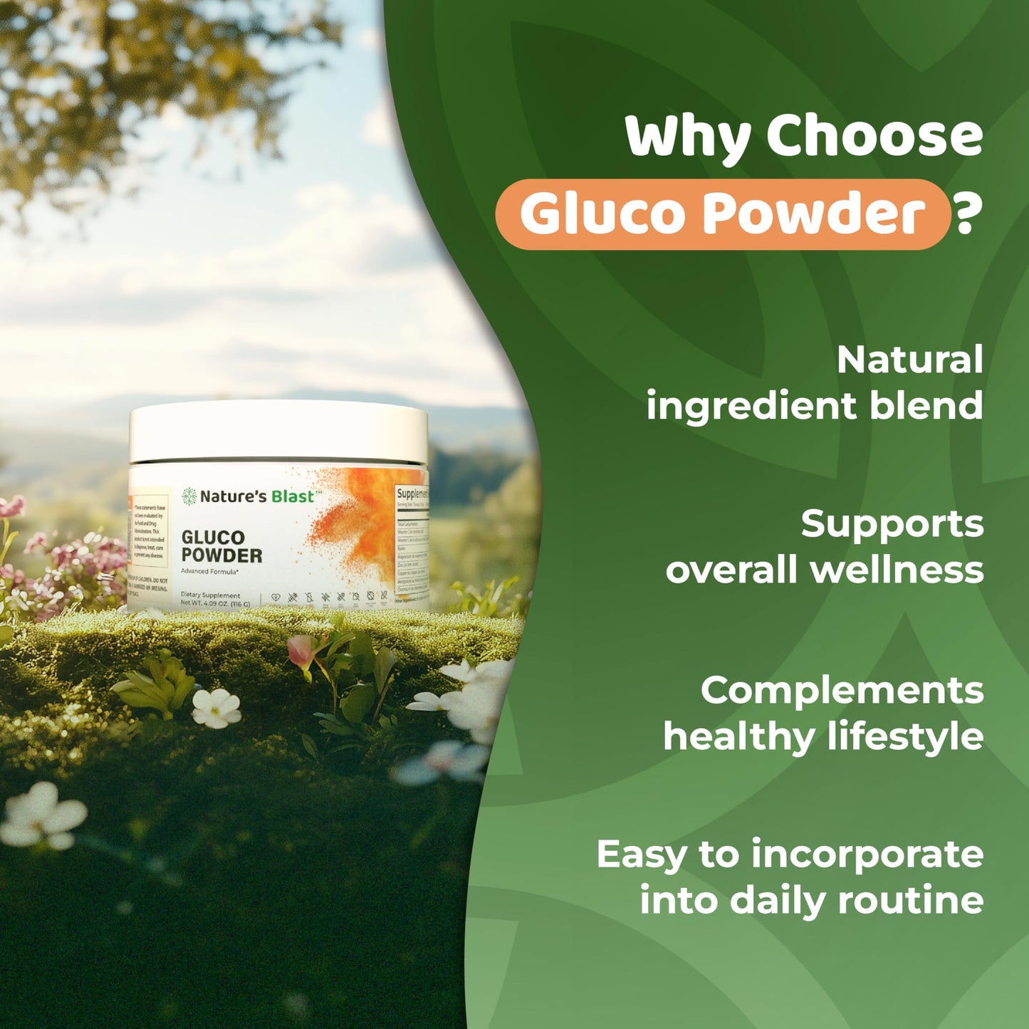 NATURES BLAST Gluco-Powder with White Mulberry Extract & Ceylon Cinnamon - Organic Metabolic Wellness Blend for Energy & Vitality, 1 Bottle
